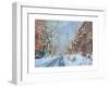 Snow, Remsen St. Brooklyn NY, 2012-Anthony Butera-Framed Giclee Print