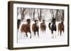 Snow Run I-PHBurchett-Framed Premium Giclee Print