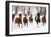 Snow Run I-PHBurchett-Framed Premium Giclee Print