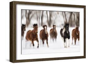 Snow Run I-PHBurchett-Framed Art Print