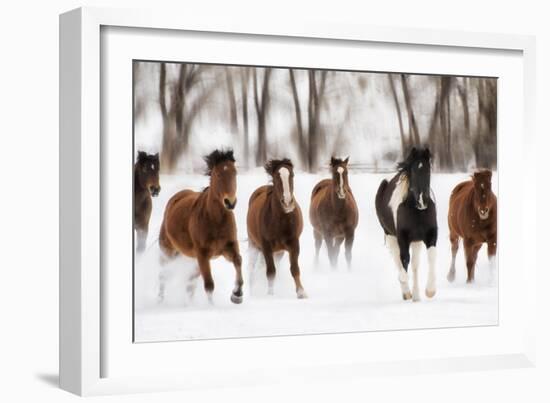 Snow Run I-PHBurchett-Framed Art Print