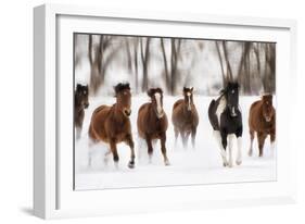 Snow Run I-PHBurchett-Framed Art Print