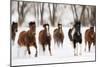 Snow Run I-PHBurchett-Mounted Art Print