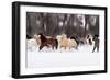 Snow Run II-PHBurchett-Framed Art Print