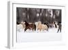 Snow Run II-PHBurchett-Framed Art Print