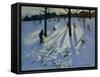 Snow, Rykneld Park, Derby, 2001-Andrew Macara-Framed Stretched Canvas