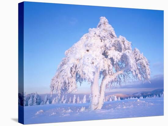 Snow scene in winter-Herbert Kehrer-Stretched Canvas