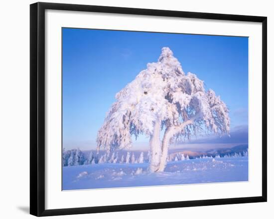 Snow scene in winter-Herbert Kehrer-Framed Photographic Print