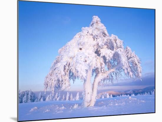 Snow scene in winter-Herbert Kehrer-Mounted Photographic Print