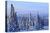 Snow scene near Fairbanks, Alaska, USA-Stuart Westmorland-Stretched Canvas