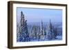 Snow scene near Fairbanks, Alaska, USA-Stuart Westmorland-Framed Photographic Print