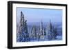 Snow scene near Fairbanks, Alaska, USA-Stuart Westmorland-Framed Photographic Print