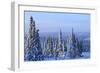 Snow scene near Fairbanks, Alaska, USA-Stuart Westmorland-Framed Photographic Print