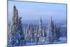 Snow scene near Fairbanks, Alaska, USA-Stuart Westmorland-Mounted Photographic Print