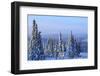 Snow scene near Fairbanks, Alaska, USA-Stuart Westmorland-Framed Photographic Print