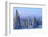 Snow scene near Fairbanks, Alaska, USA-Stuart Westmorland-Framed Photographic Print