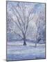 Snow Scene-Patricia Espir-Mounted Giclee Print
