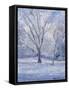 Snow Scene-Patricia Espir-Framed Stretched Canvas