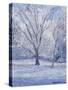 Snow Scene-Patricia Espir-Stretched Canvas