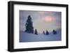 Snow Scenery, Conifers, the Sun, Cloudies, Dusk, Germany, Winter Scenery, Trees, Snow, Frost-Herbert Kehrer-Framed Photographic Print