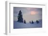 Snow Scenery, Conifers, the Sun, Cloudies, Dusk, Germany, Winter Scenery, Trees, Snow, Frost-Herbert Kehrer-Framed Photographic Print