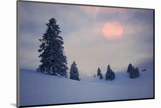 Snow Scenery, Conifers, the Sun, Cloudies, Dusk, Germany, Winter Scenery, Trees, Snow, Frost-Herbert Kehrer-Mounted Photographic Print