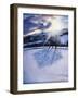 Snow Shadows, 2009-Tilly Willis-Framed Giclee Print