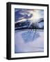 Snow Shadows, 2009-Tilly Willis-Framed Giclee Print