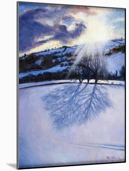 Snow Shadows, 2009-Tilly Willis-Mounted Giclee Print