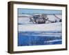 Snow Shadows, 2010-Tilly Willis-Framed Giclee Print