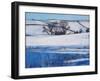 Snow Shadows, 2010-Tilly Willis-Framed Giclee Print