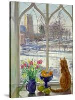 Snow Shadows and Cat-Timothy Easton-Stretched Canvas