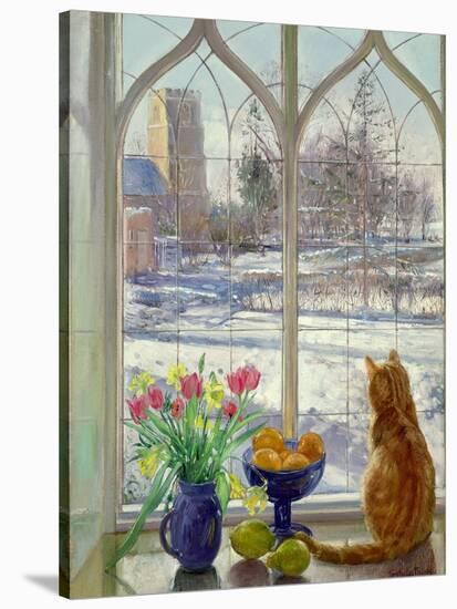 Snow Shadows and Cat-Timothy Easton-Stretched Canvas