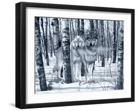 Snow Shadows Silvertones-Gordon Semmens-Framed Premium Photographic Print