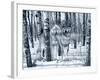 Snow Shadows Silvertones-Gordon Semmens-Framed Photographic Print