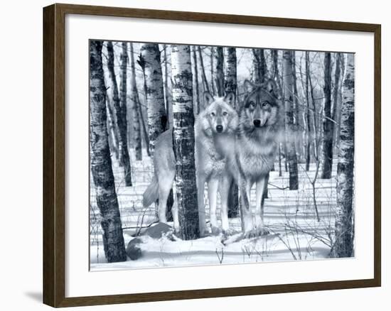 Snow Shadows Silvertones-Gordon Semmens-Framed Photographic Print