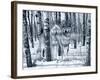 Snow Shadows Silvertones-Gordon Semmens-Framed Photographic Print