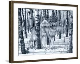 Snow Shadows Silvertones-Gordon Semmens-Framed Photographic Print