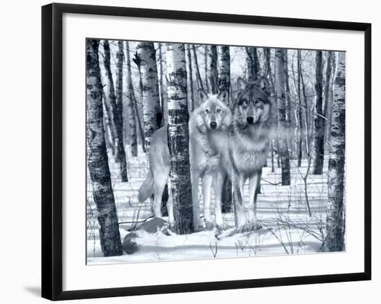 Snow Shadows Silvertones-Gordon Semmens-Framed Photographic Print