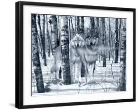 Snow Shadows Silvertones-Gordon Semmens-Framed Photographic Print