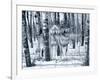 Snow Shadows Silvertones-Gordon Semmens-Framed Photographic Print