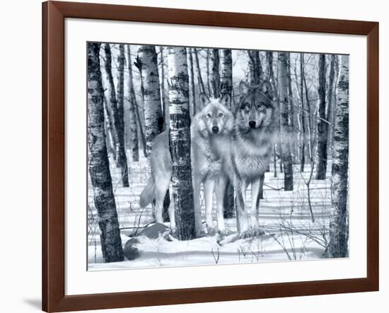 Snow Shadows Silvertones-Gordon Semmens-Framed Photographic Print