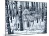 Snow Shadows Silvertones-Gordon Semmens-Mounted Photographic Print