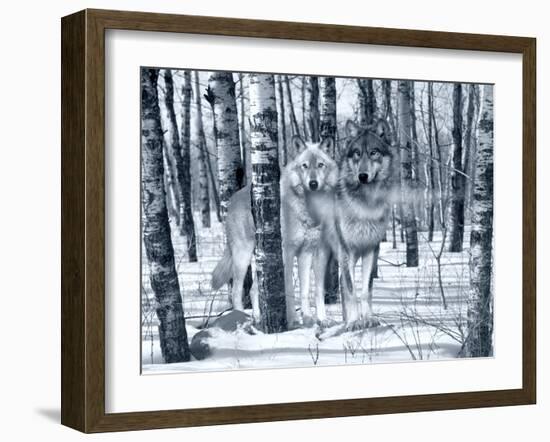 Snow Shadows Silvertones-Gordon Semmens-Framed Photographic Print