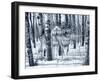 Snow Shadows Silvertones-Gordon Semmens-Framed Photographic Print