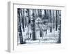 Snow Shadows Silvertones-Gordon Semmens-Framed Photographic Print