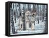 Snow Shadows-Gordon Semmens-Framed Stretched Canvas