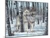 Snow Shadows-Gordon Semmens-Mounted Photographic Print