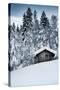 Snow Shelter-Craig Howarth-Stretched Canvas