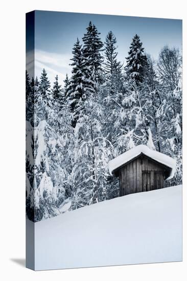 Snow Shelter-Craig Howarth-Stretched Canvas